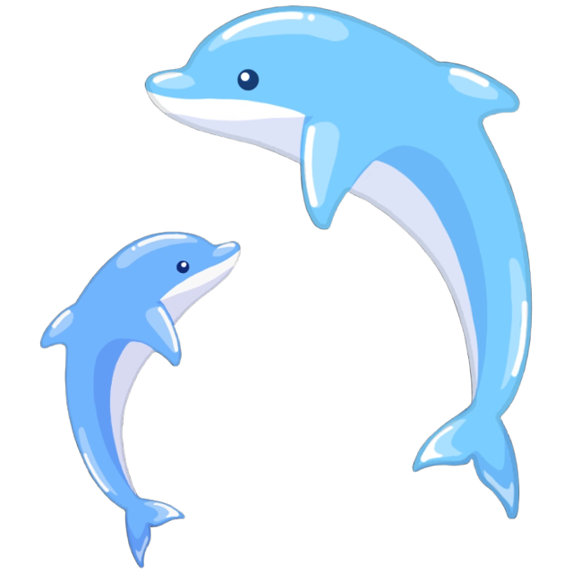 SSDolphinDuo