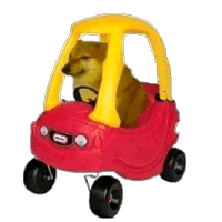 DogeKidCar
