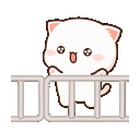 happyjumpingcat