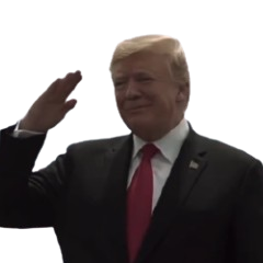 TrumpSalute