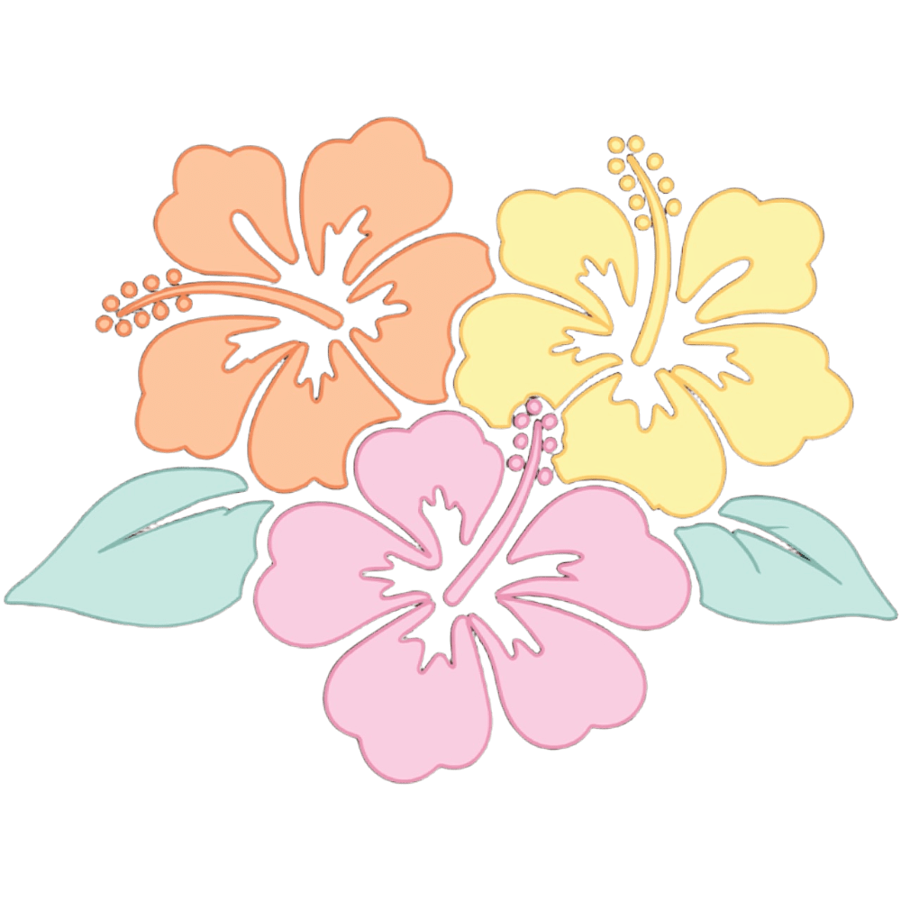HibiscusBunch