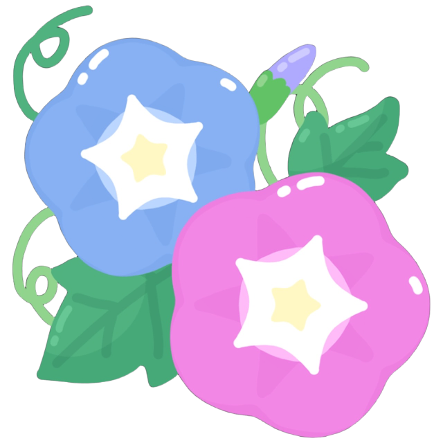 SSMorningGlory