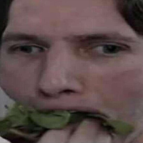 jerma_munch