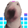 WalterJam