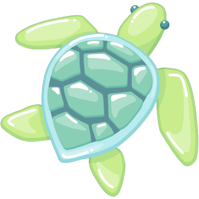 SSSeaTurtle