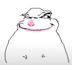whitehamstersus