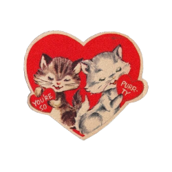 Cat_heart