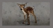Babydeerflagdayz