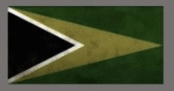 Altisflagdayz