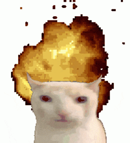 catexplode