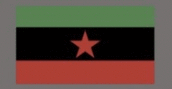 ChDKZflagdayz