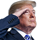 Trump_salute