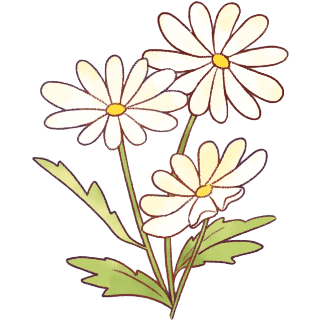 FFFlowers