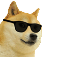 CoolDodge