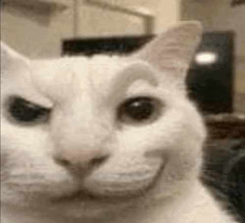 Catsmirk