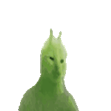 Angry_catslap