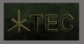 TECflagdayz
