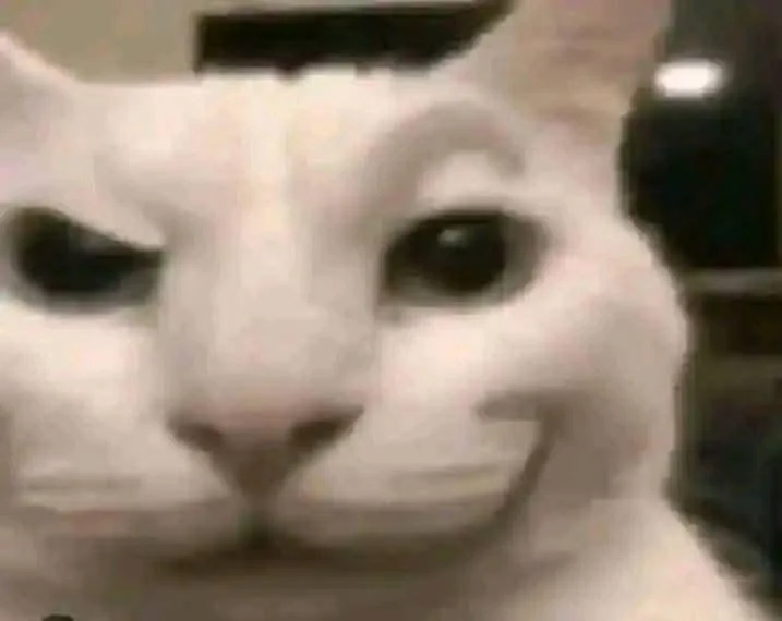 smirk_cat