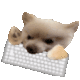 DogKeyboard