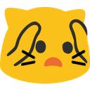 notlikemeow
