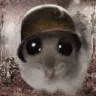 Soldierhamster