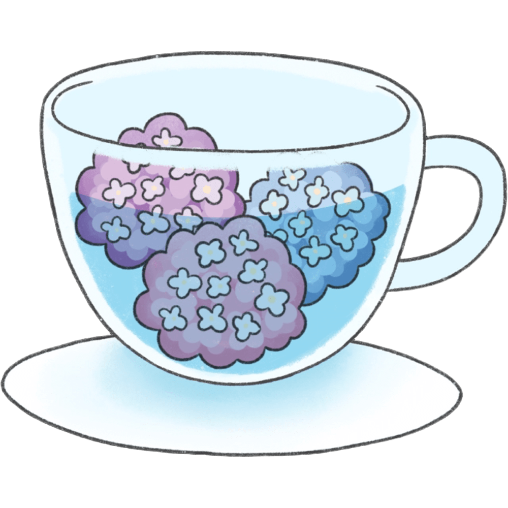 HydrangeaCup
