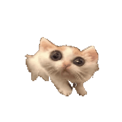 CatScared