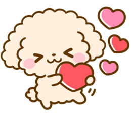 PoodleLove