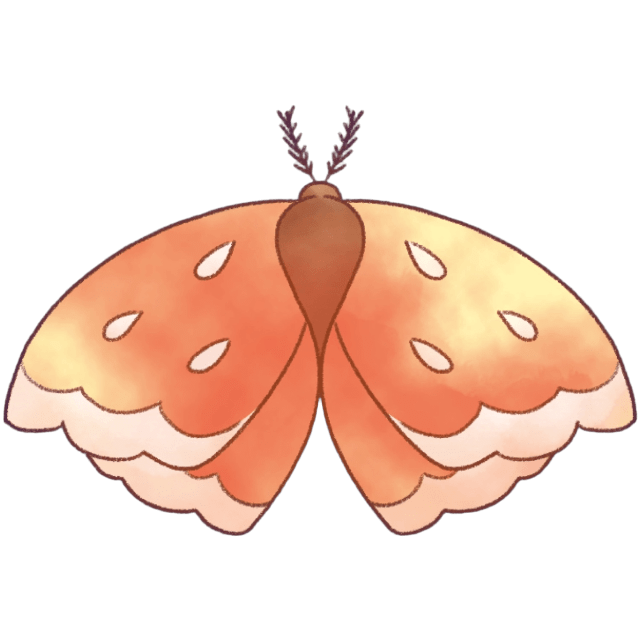 FFMoth