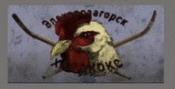 Roosterflagdayz