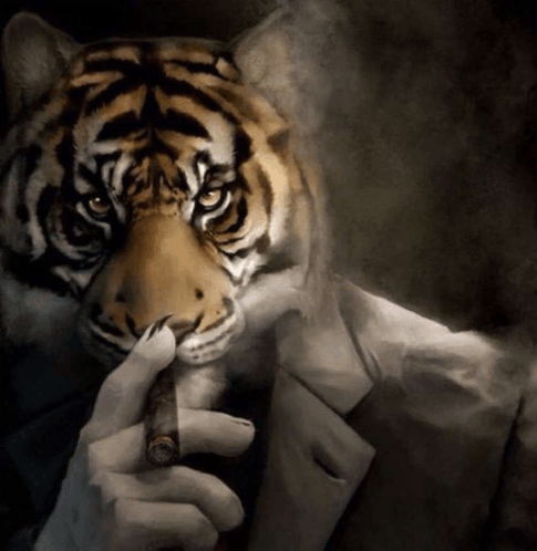 Smoketiger
